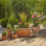 Gardena 13001-20 MD  indulókészlet cserepes növényekhez M méret - Image 3